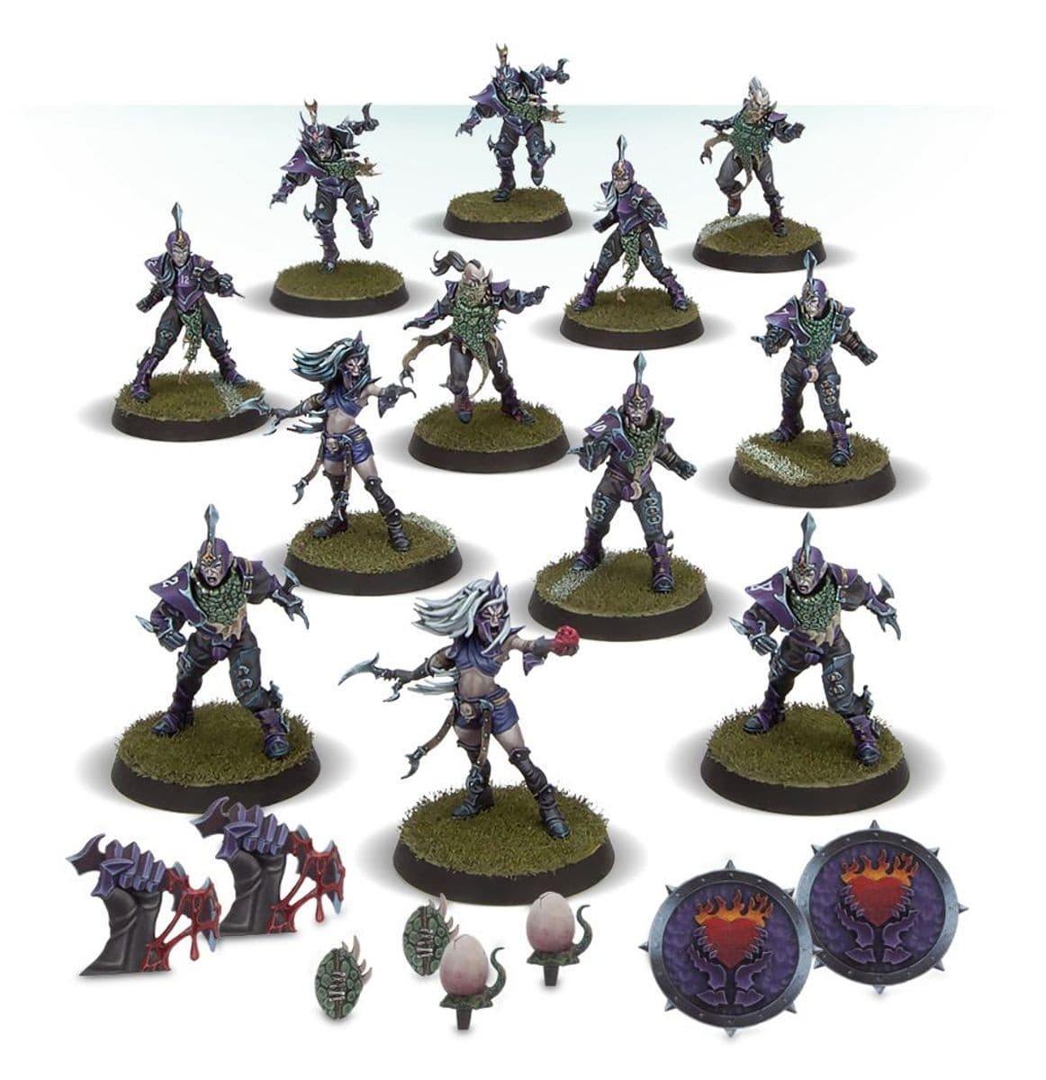 Dark Elf: The Naggaroth Nightmares